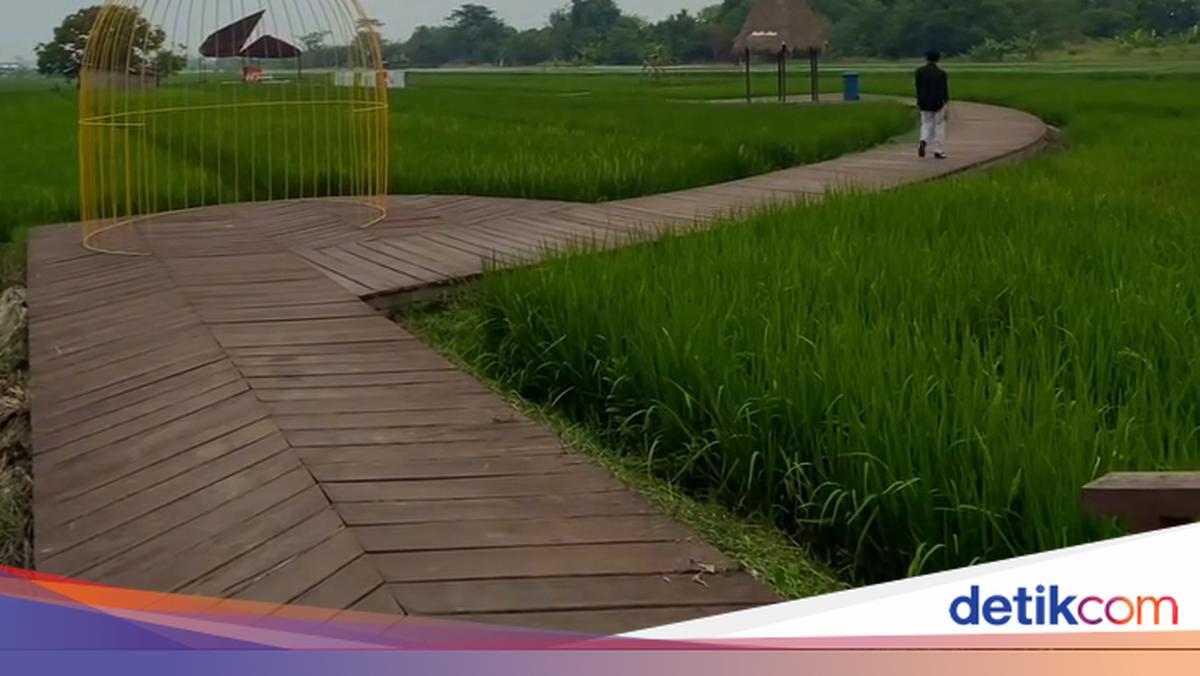 Puncak Senja di Taman Wisata Gunung Jeruk: Surga Tersembunyi di Cilacap